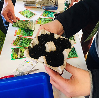 Students Grow Their Own Vegetables