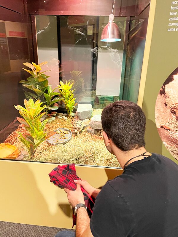 Gabriel looking at a turtle