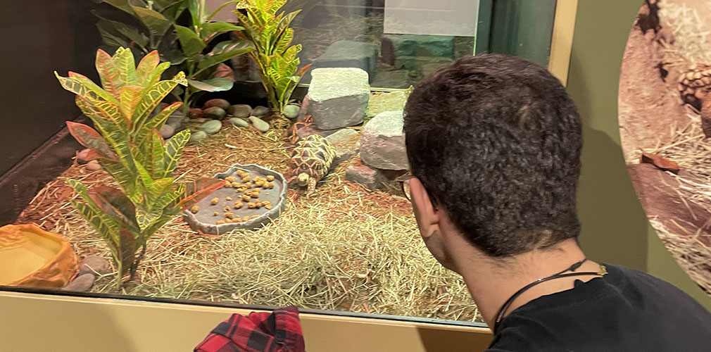 Gabriel observing a turtle