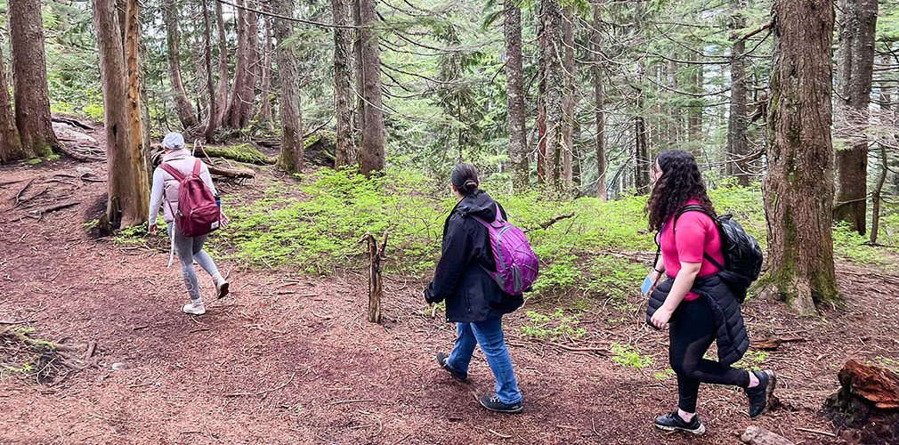 students hiking through the woods