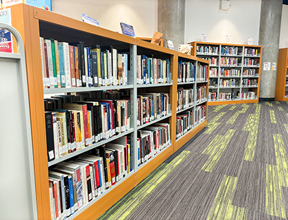 bookshelf full of books