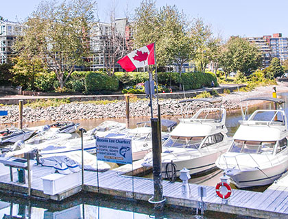 boats at the pier