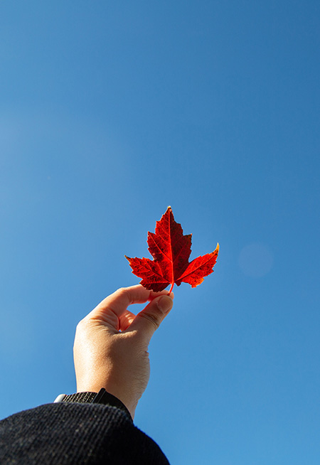 holding up a maple leaf