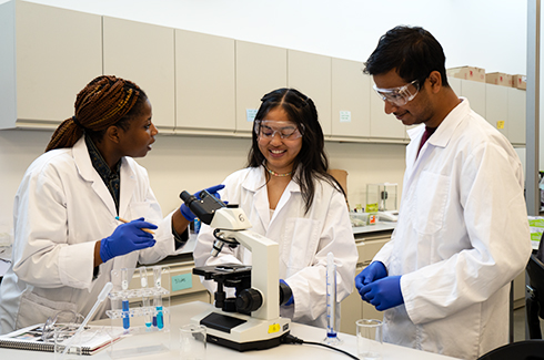 students in the lab