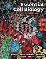 Essential Cell Biology 
