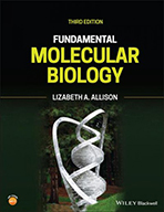 Fundamental Molecular Biology 